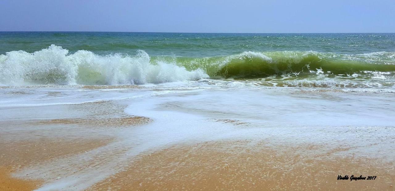 Shinning Waves Apartment Armação de Pêra Екстериор снимка